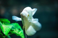 玻璃幕墙水景设计 创意独特视觉震撼